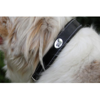 Collier pour chien Jump'In Noir