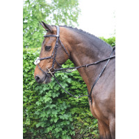 Enrênement Jump'In Howlett