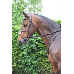 Enrênement Jump'In Howlett