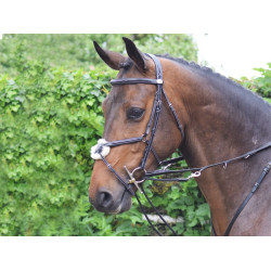 Enrênement Jump'In Howlett