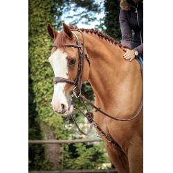 Hilfszügel Jump'In Patrick Havanna Braun