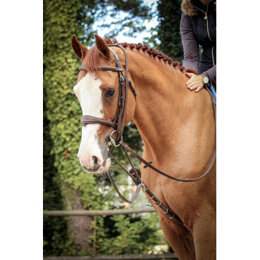 Hilfszügel Jump'In Patrick Havanna Braun