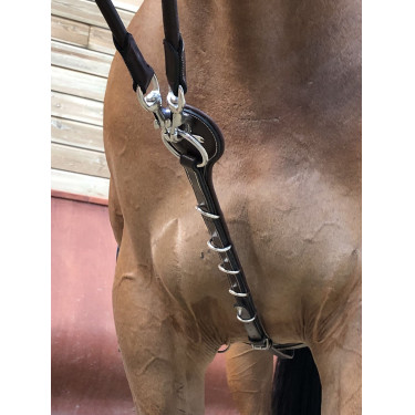 Hilfszügel Jump'In Patrick Havanna Braun