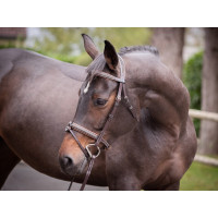 Filet Jump'In Crystal kombiniertem Reithalfter Week Havanna Kristall Blau Filet Jump'In Crystal kombiniertem Reithalfter Week Havanna Kristall Blau