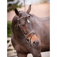 Filet Jump'In Crystal kombiniertem Reithalfter Week Havanna Braun