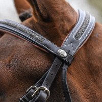 Filet Jump'In Crystal kombiniertem Reithalfter Week Havanna Kristall Blau Filet Jump'In Crystal kombiniertem Reithalfter Week Havanna Kristall Blau