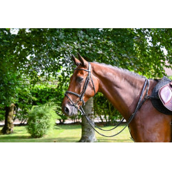 Filet Jump'In Monday kombiniertem Reithalfter week Schwarz