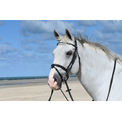 Filet Jump'In Monday kombiniertem Reithalfter week Schwarz