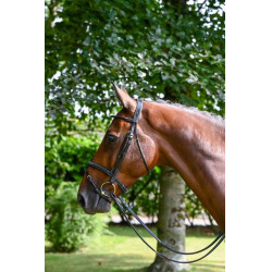 Filet Jump'In Monday kombiniertem Reithalfter week Schwarz