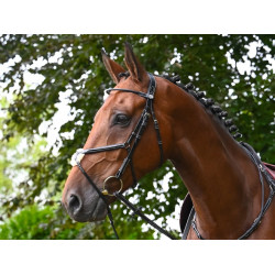 Filet Jump'In Monday kombiniert Reithalfter Woche