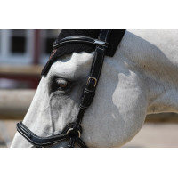 Filet Jump'In New York One Schwarz