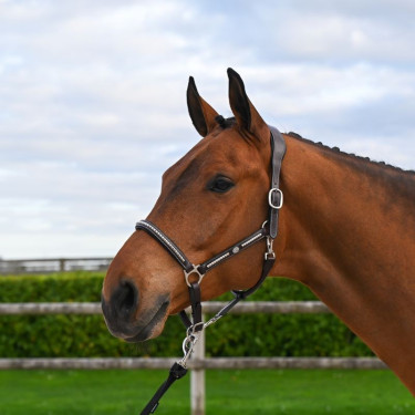 Halfter Clincher Jump'In One Premium Halfter Clincher Jump'In One Premium