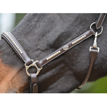 Halfter Clincher Jump'In One Premium Halfter Clincher Jump'In One Premium