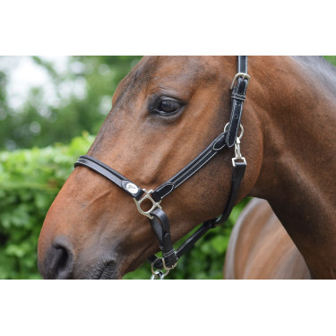 Jump'In Week Putz-Halfter Schwarz Jump'In Week Putz-Halfter Schwarz