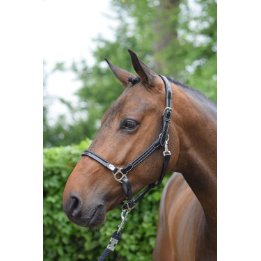 Jump'In Week Putz-Halfter Schwarz Jump'In Week Putz-Halfter Schwarz