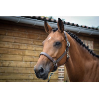 Halfter Fancy Jump'In One Haselnuss Braun