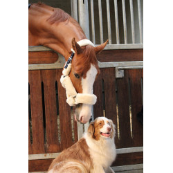 Halfter Jump'In Soft One Halfter Jump'In Soft One