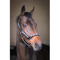 Reisehalfter Jump'In One Schwarz