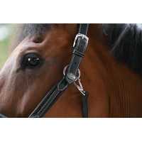 Licol Wednesday Jump'In Week Havanna Braun Licol Wednesday Jump'In Week Havanna Braun