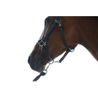 Licol Wednesday Jump'In Week Havanna Braun Licol Wednesday Jump'In Week Havanna Braun