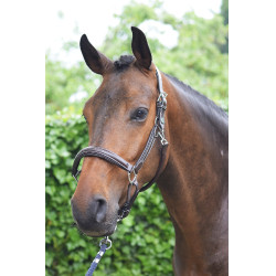 Licol Wednesday Jump'In Week Havanna Braun