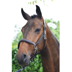 Licol Wednesday Jump'In Week Havanna Braun