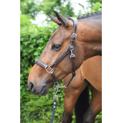 Licol Wednesday Jump'In Week Havanna Braun