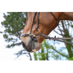 Deutsches Reithalfter mit Kette Jump'In Week