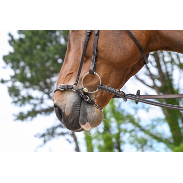 Deutsches Reithalfter mit Kette Jump'In Week