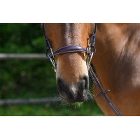 Hackamore-Nasenriemen Jump'In Mahagoni Bordeaux