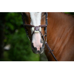 Nasenriemen Tuesday Jump'In Mahagoni Bordeaux