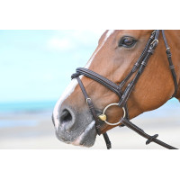 Nasenriemen Tuesday Jump'In Mahagoni Bordeaux Nasenriemen Tuesday Jump'In Mahagoni Bordeaux