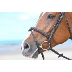 Nasenriemen Tuesday Jump'In Mahagoni Bordeaux