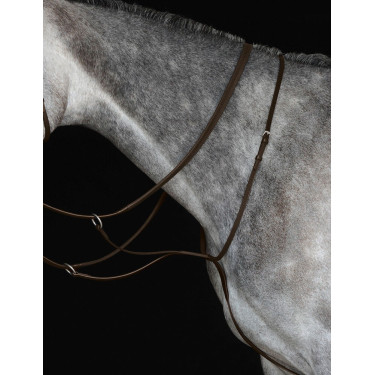 Martingalplatte IV Collegiate Martingalplatte IV Collegiate