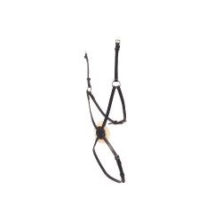 Collegiate Mono Crown Hannoversches Reithalfter