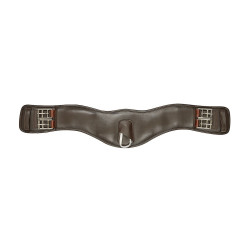 Anatomischer Dressurgurt Collegiate