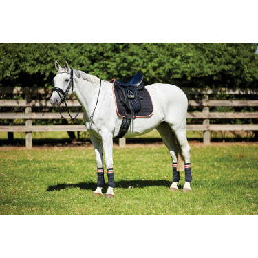 Dressurschabracke Therapy-Tec Weatherbeeta Dressurschabracke Therapy-Tec Weatherbeeta