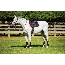 Satteldecke Therapy-Tec Weatherbeeta Schwarz / Silber / Rot Satteldecke Therapy-Tec Weatherbeeta Schwarz / Silber / Rot