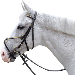 Trense mit gekreuztem Sperrriemen Canter Trense mit gekreuztem Sperrriemen Canter