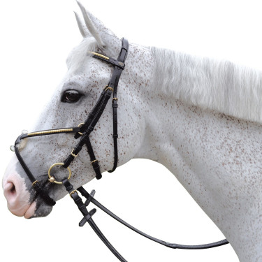 Trense mit gekreuztem Sperrriemen Canter Trense mit gekreuztem Sperrriemen Canter