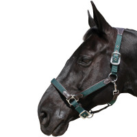 Halfter Flags & Cup Nylon/Leder Braun / Marine Halfter Flags & Cup Nylon/Leder Braun / Marine