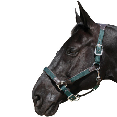 Kopfstück Flags & Cup Nylon/Leder Braun / Oliv Gr&uuml;n