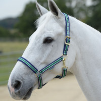 Halfter Bucas Dublin Gestreift / Marineblau Mehrfarbig