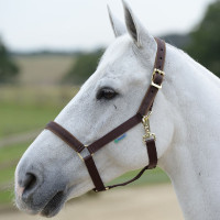 Halfter Bucas Dublin Braun / braun