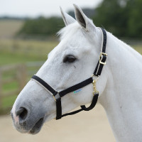 Halfter Bucas Dublin Schwarz / Silber Halfter Bucas Dublin Schwarz / Silber