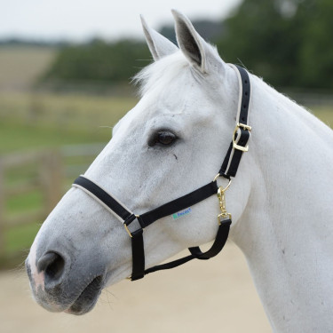 Halfter Bucas Dublin Schwarz / Silber Halfter Bucas Dublin Schwarz / Silber