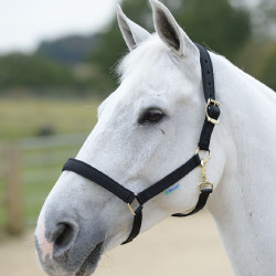 Halfter Bucas Dublin Schwarz / schwarz Halfter Bucas Dublin Schwarz / schwarz