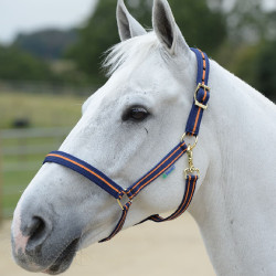 Halfter Bucas Dublin Marineblau / Orange Halfter Bucas Dublin Marineblau / Orange