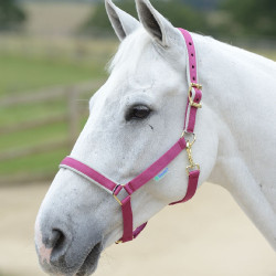 Halfter Bucas Dublin Rosa / Silber Halfter Bucas Dublin Rosa / Silber