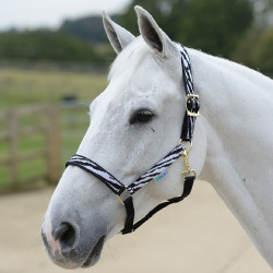 Halfter Bucas Dublin Zebra / Schwarz Motive Halfter Bucas Dublin Zebra / Schwarz Motive